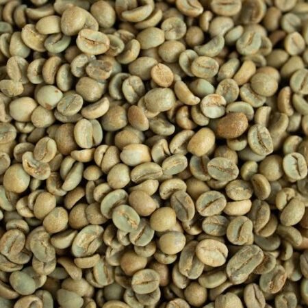 Close-up view of fresh, green coffee beans ideal for stock photography.